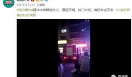 爆料的视频,一窥事件背后惊人真相