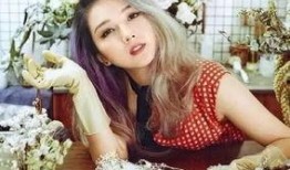 何洁最新爆料,揭秘娱乐圈背后的惊人真相