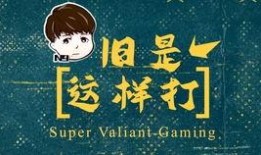 胖哥爆料视频大全集免费观看,免费观看，揭秘幕后真相