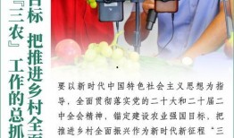 辉煌农村爆料视频